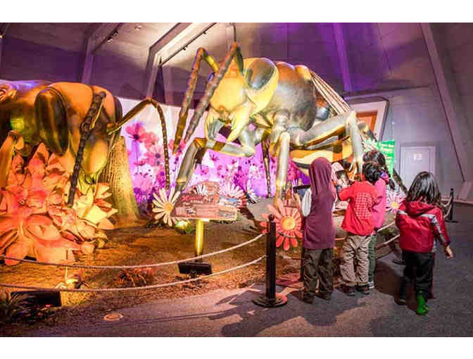 Unlock a world of wonder in Philadelphia!