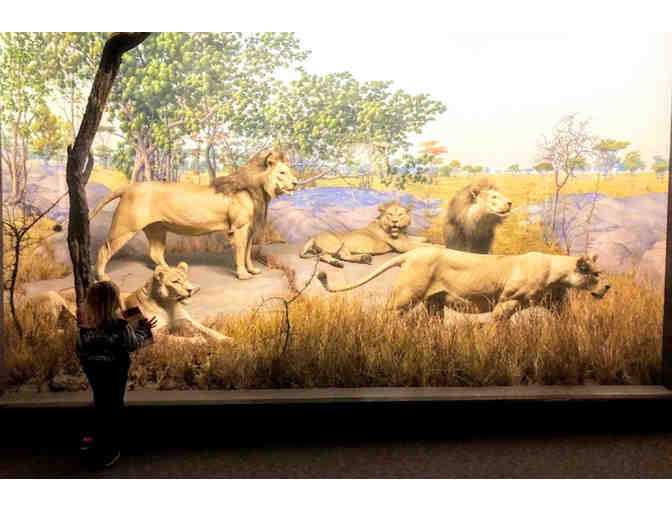 Unlock a world of wonder in Philadelphia!