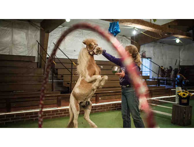 Family Adventure Awaits in Gettysburg!
