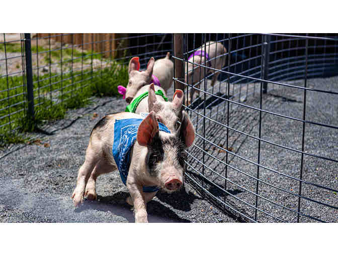 Family Adventure Awaits in Gettysburg!