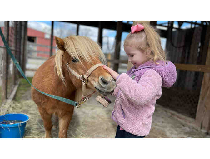 Family Adventure Awaits in Gettysburg!