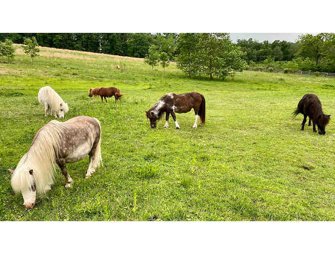 Family Adventure Awaits in Gettysburg!