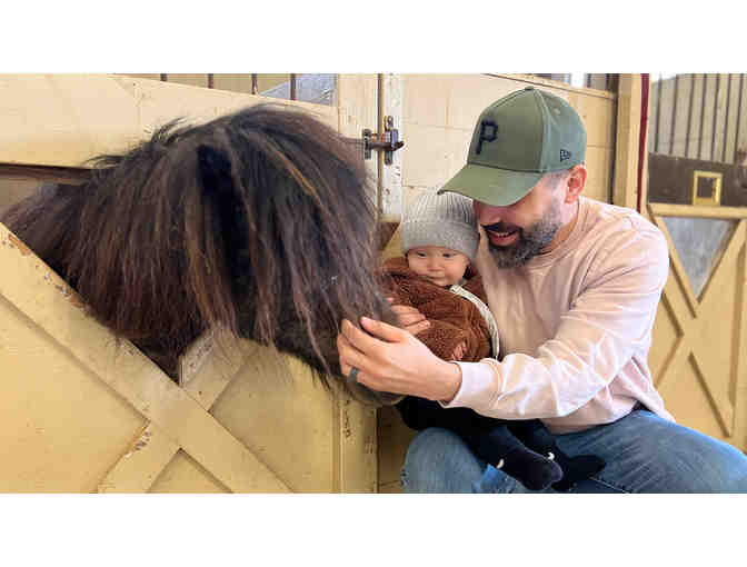 Family Adventure Awaits in Gettysburg!