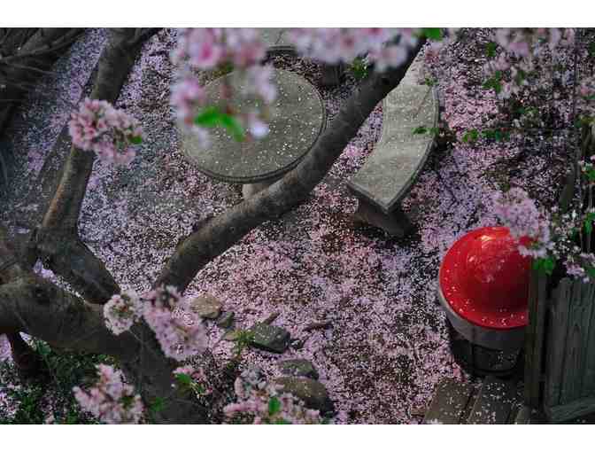 One night stay at the Wherehouse Art Hotel, WSNC