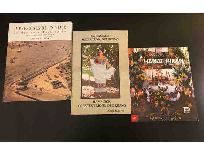 Unique Handcrafted Mexican Bag