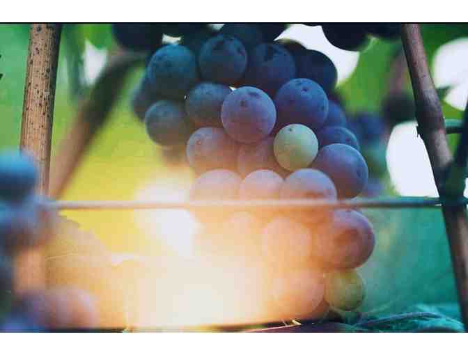 Sonoma Wine Country Stay, Dine & Sip