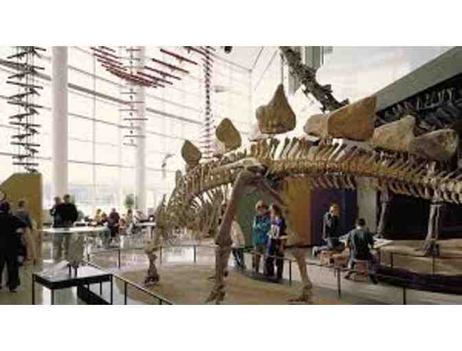 Minnesota Family Fun