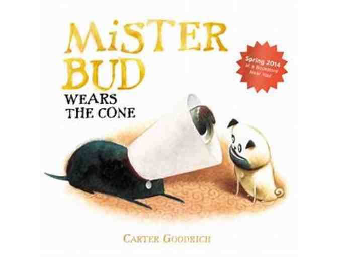 Play Place Passes & Children's Books