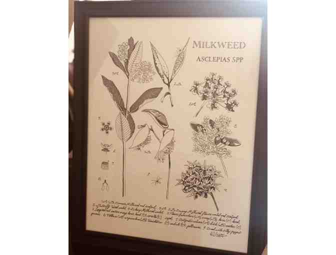 Seasons Flower Arranging Workshop and Botanical Book & Artwork by Marcie Cuff