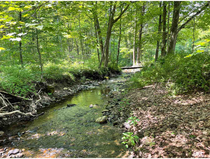 Weekend in Rhinebeck Country Home