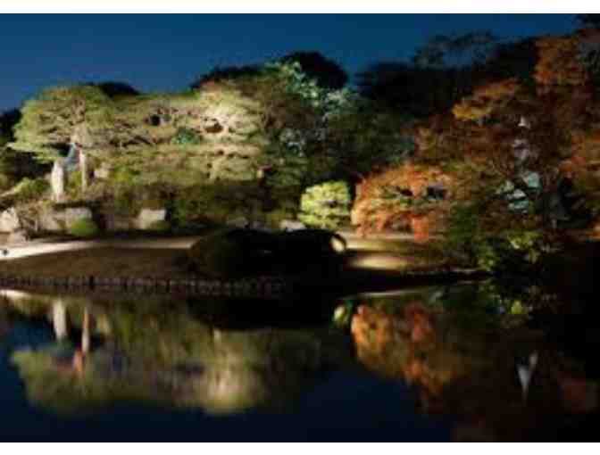 Artisan Lighting and Installation