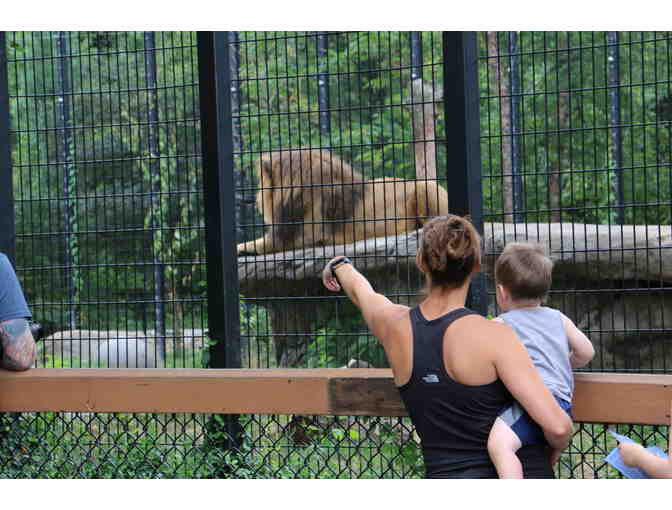 Wild Adventures Await at Blank Park Zoo