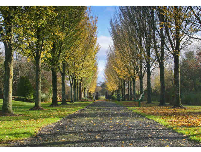 Luxury Trip to Ireland -  8 nights + 2 Business Class Flights