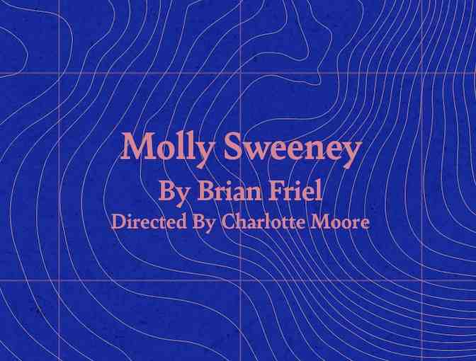 Eight Tickets and a Whiskey Toast with the Cast of MOLLY SWEENEY - Photo 1