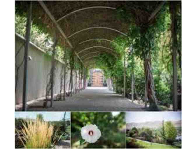 Private Tour & Reserve Tasting for 8 at Terra Blanca Plus 4 Magnums