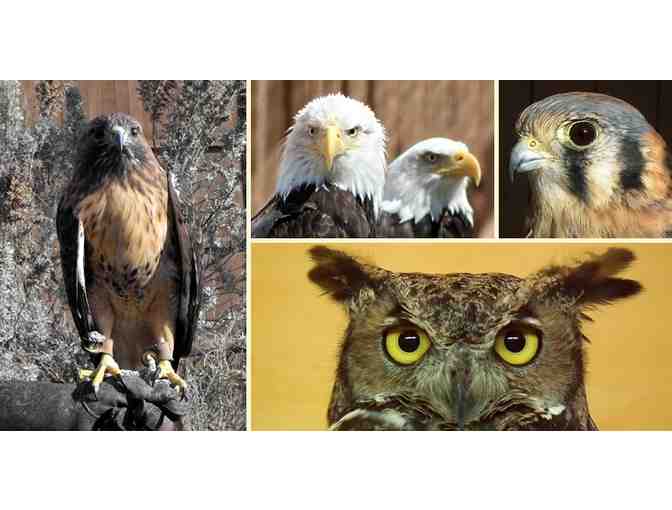 Columbia Gorge Discovery Center and Museum