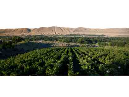 Private Tour & Reserve Tasting for 8 at Terra Blanca Winery Plus 4 Magnums