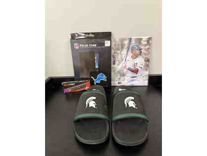 Michigan Sports Bundle