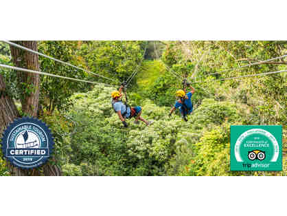 Kohala Zipline (Big Island)
