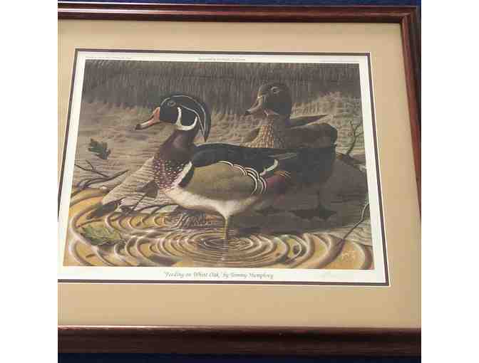 Framed and double matted Duck Print 'Feeding on White Oak' by Tommy Humphrey