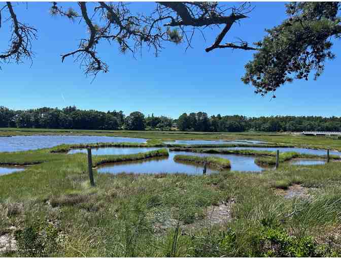 Madelyn Marx Marshland - Andrea Roth Kimmich