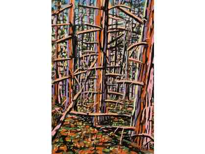 'Dead Branches on Alewive Trail.' Wade Zaharas