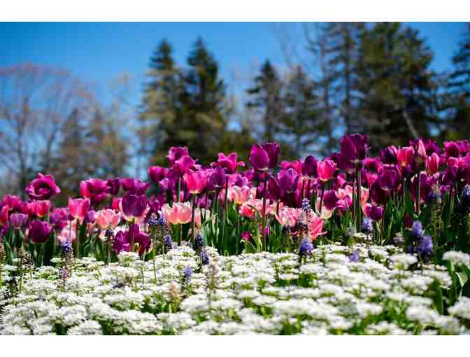 Coastal Maine Botanical Gardens - 2 guest passes