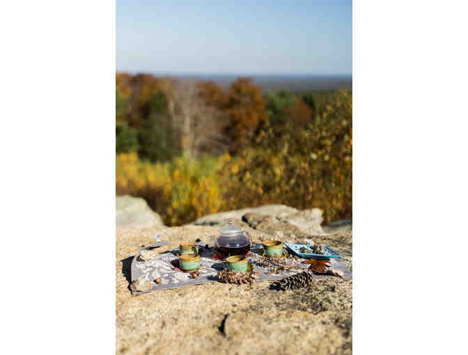 Forest Bathing Team Building Retreat