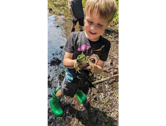 One week of summer camp at Village Nest Cooperative