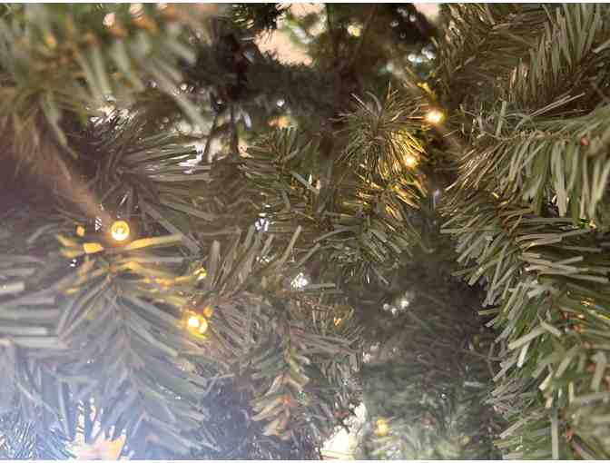7' Pre-lit LED Forest Green Pine Tree - from Kittery Hardware Co. - Photo 2