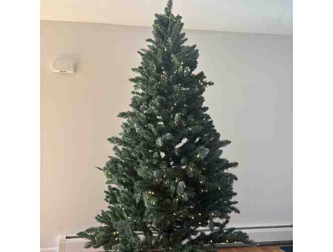 7' Pre-lit LED Forest Green Pine Tree - from Kittery Hardware Co. - Photo 1