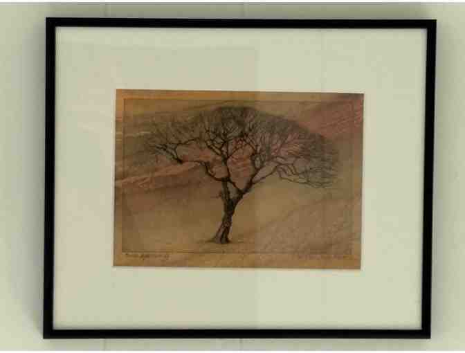 Monoprint called 'Awakening' by V Elbroch - Photo 1