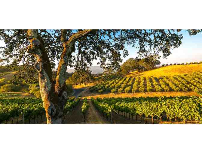 Wine Road Events Package for Four, Wine Road Northern Sonoma County, Healdsburg