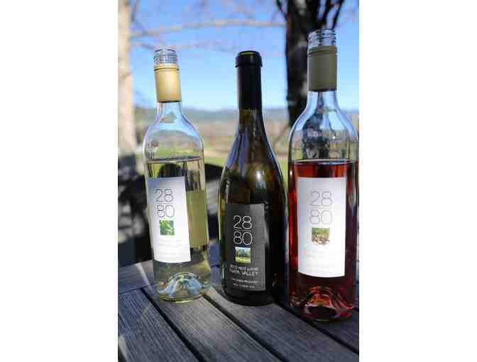 Tour, Tasting, Lunch for 6 & Mixed Case, 2880 Wines, Calistoga