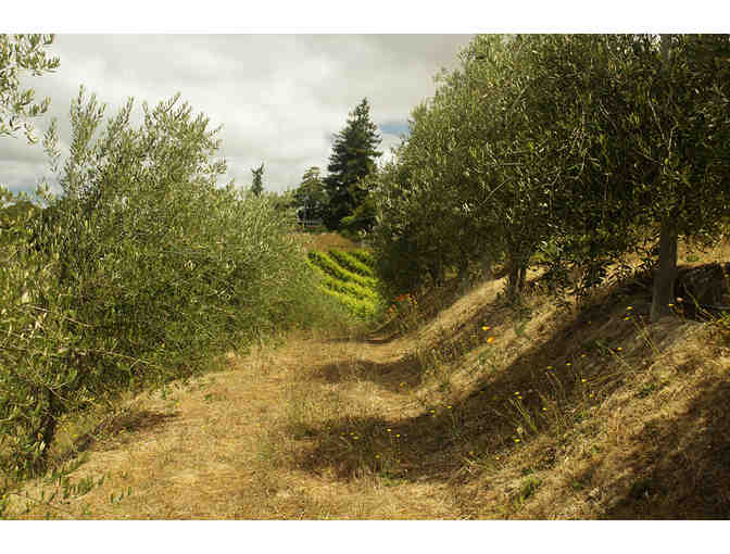 Tour, Tasting, Lunch & Wine for Four, Baker Lane Vineyards, Sebastopol
