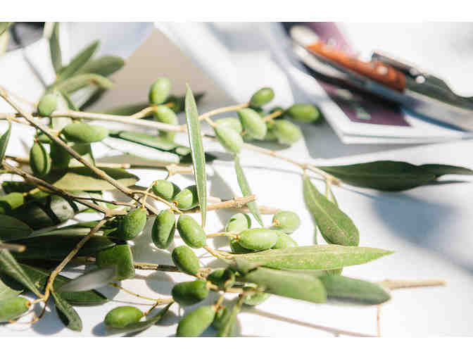 Tour, Tasting, Lunch & Wine for Four, Baker Lane Vineyards, Sebastopol