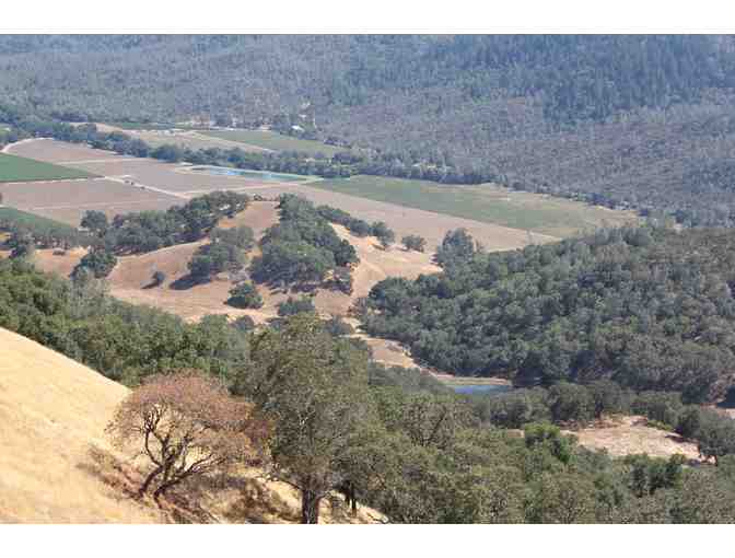 'Old Napa Valley' Weekend for Two Couples, Maxville Estate Winery, St. Helena