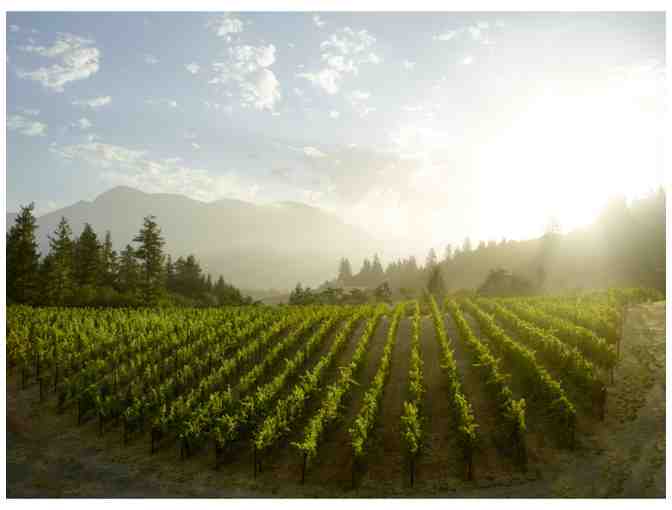 Half-Case 2011 Cabernet Sauvignon, Huge Bear Wines, Calistoga