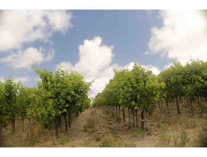 Tour, Tasting, Lunch & Wine for Four, Baker Lane Vineyards, Sebastopol