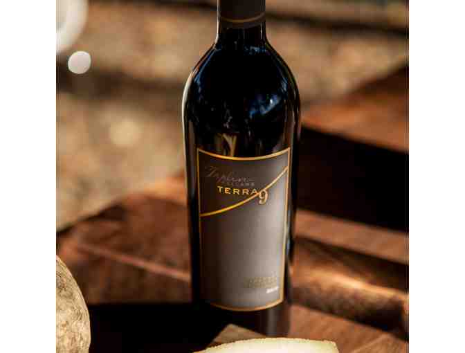 Case of Appellation St. Helena Wines, Appellation St. Helena, St. Helena