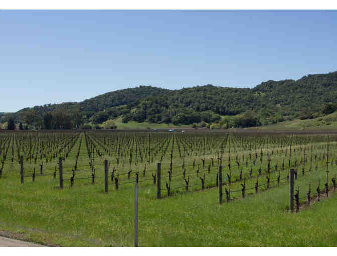 Wine Trolley Tour for Four, Napa Valley Wine Trolley, Napa