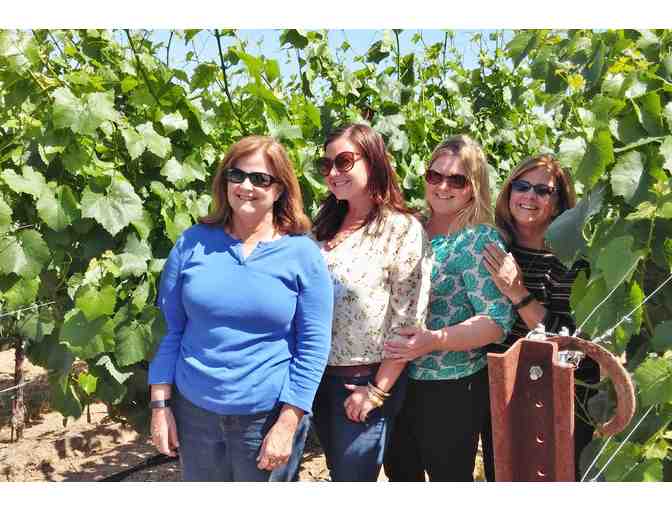 Seven Hours of Wine Fun for Six, Woody's Wine Tours, Santa Rosa