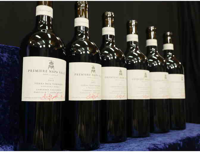 6 Btls 2013 Premiere Napa Valley Auction Tierra Roja Katherine's blend, WineBid.com, Napa