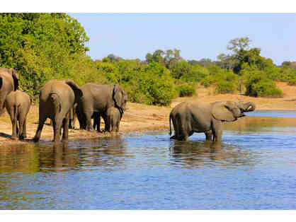 9 Day Southern Africa Land-and-Cruise Safari for 2, CroisiEurope Cruises