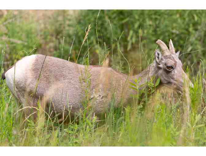 Four Day Rafting Trip for Two, Holiday River Expeditions, Salt Lake City UT