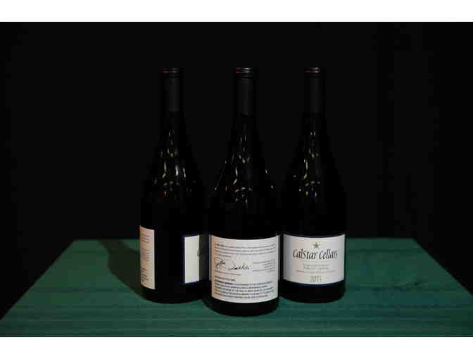 Case 2013 Sangiacomo Pinot Noir, Calstar Cellars, Santa Rosa