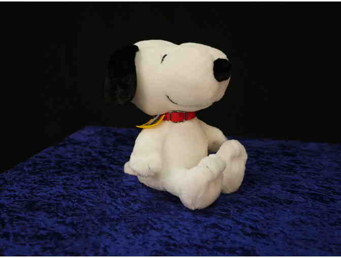 Everything You Need for a Peanuts Adventure! Charles M. Schulz Museum, Santa Rosa