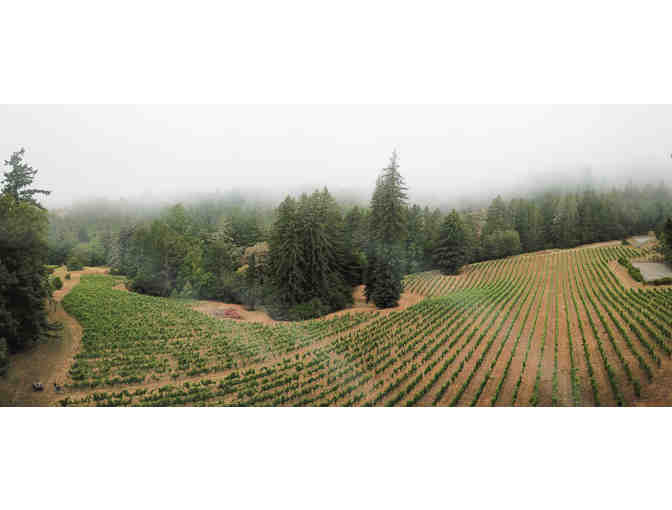 Zephyr Farms Vineyard Experience for Six, Red Car Wine, Sebastopol