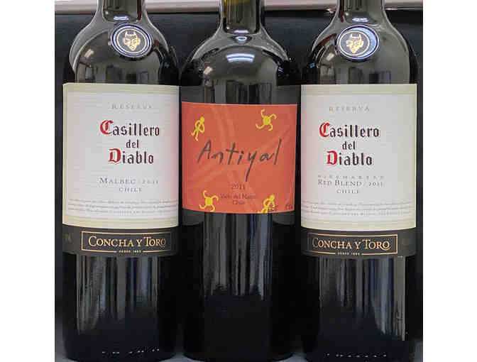 Red wines from Italy, Chile and more