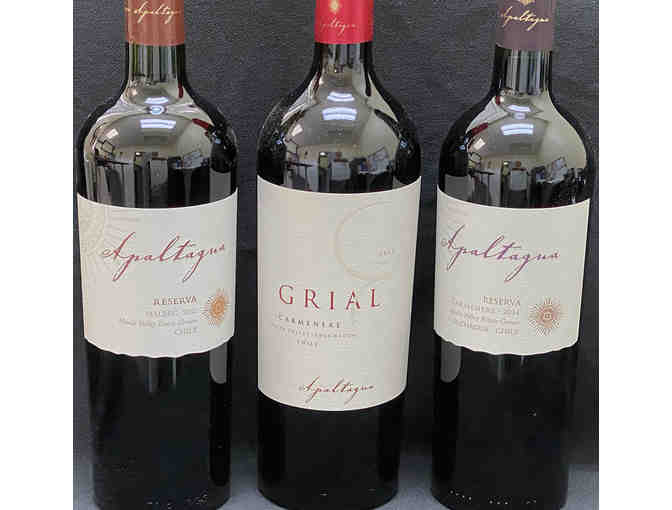 Red wines from Italy, Chile and more